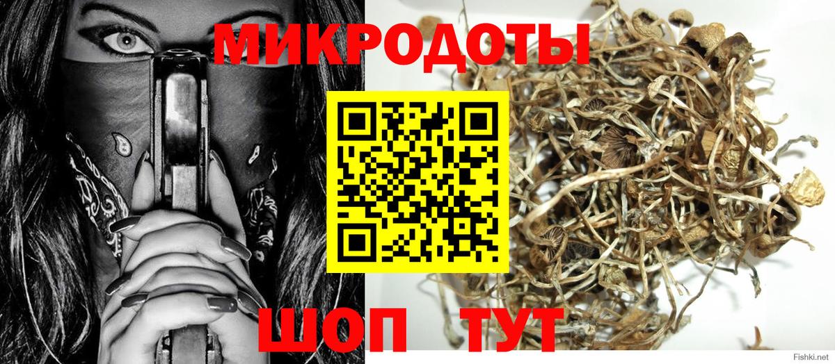 Карасук  купить закладку  Вход с VPN  Галлюциногенные грибы мухоморы 