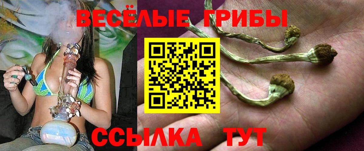 Псилоцибиновые грибы MAGIC MUSHROOMS Карасук